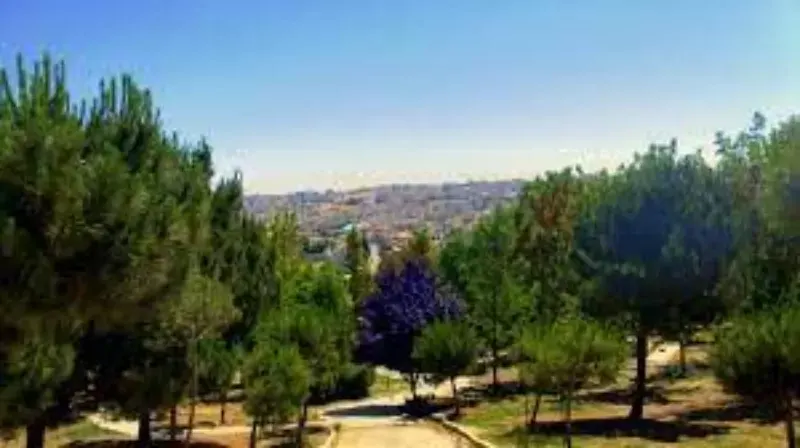Traveling to Jordan on a Budget